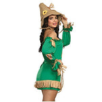 Halloween Flower Scarecrow Costumes,Cosplay Farmland Scarecrow Girl Patch Costumes,Womens' Stage Performance Costumes.