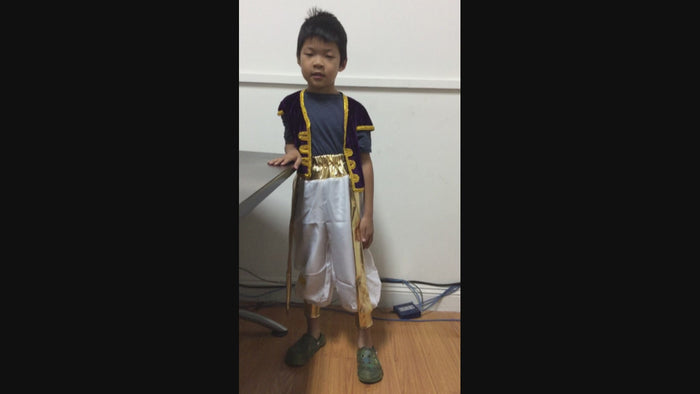 Halloween Aladdin magic lamp cosplay suits,Aladdin prince cosplay costume,children's live-action costume.